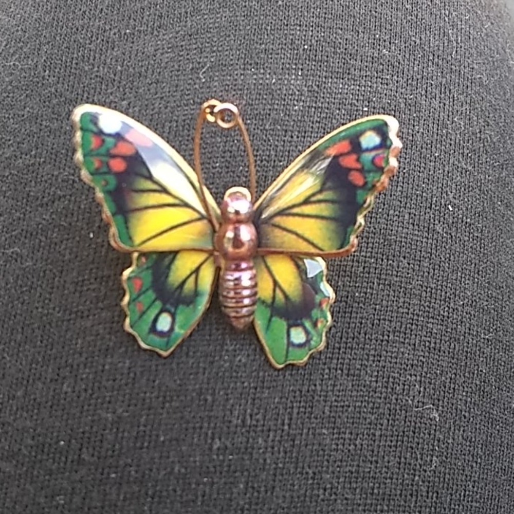 Vintage butterfly pin
